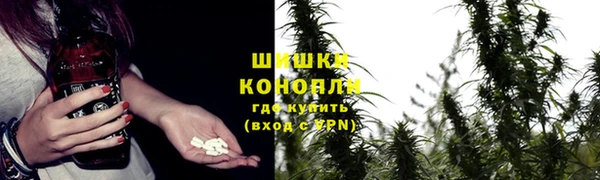 стаф Пестово