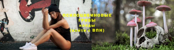крисы Фёдоровский