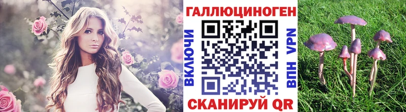 Галлюциногенные грибы прущие грибы  где можно купить   hydra вход  Конаково 